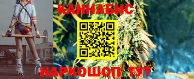 сатива Нягань