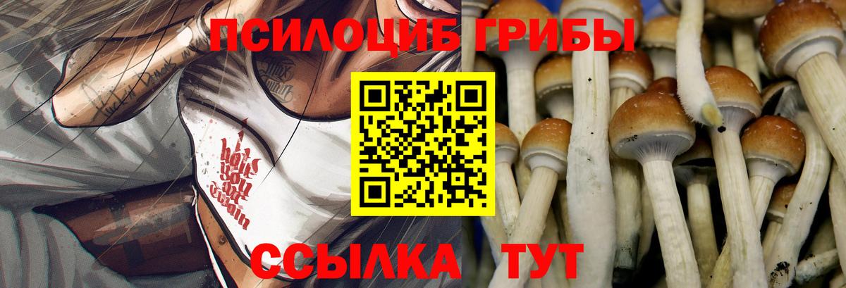 Галлюциногенные грибы GOLDEN TEACHER  Вход с VPN  Сургут 