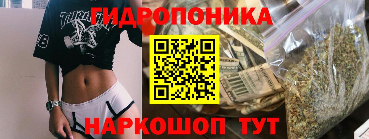 Марихуана семена Сургут