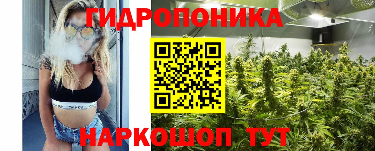 Канабис марихуана  Каннабис ГИДРОПОН  Вход с VPN  Сургут 